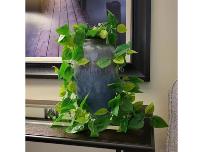 Wall Plates Decoration Art Wedding Decor Hanging Western Boho Bedroom