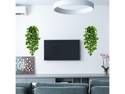 Wall Plates Decoration Art Wedding Decor Hanging Western Boho Bedroom